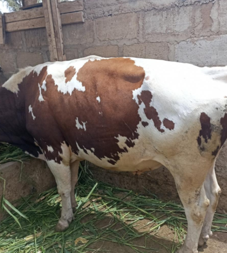 screenshot 2025 08 23 093723